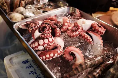 How to Cook Octopus in Japanese style?