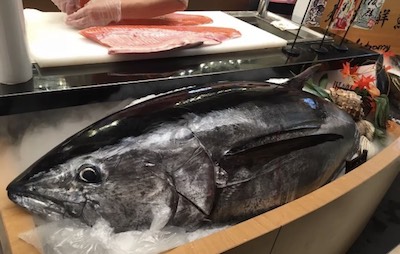 What is sushi grade tuna?