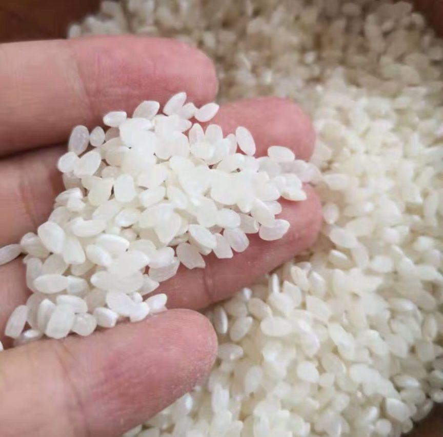 Does Uncooked Sushi Rice Go Bad? Easy Homemade Sushi